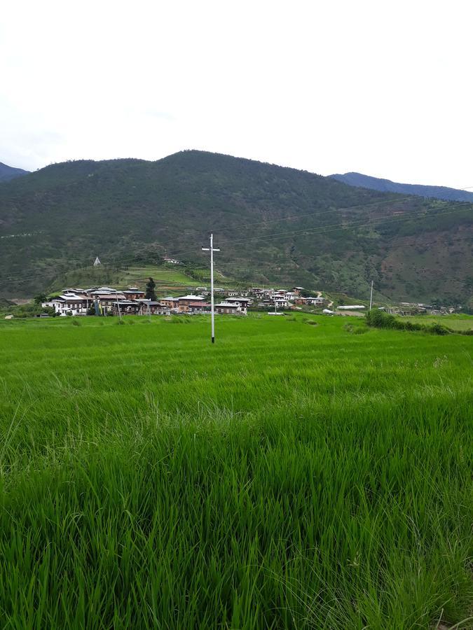 Chimi Lhakhang Village Homestay Пунакха Экстерьер фото